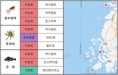 [MK 11월 4주 바다낚시] 이렇게 아름다웠나? 국가어항의 진짜 모습 보러 오세요