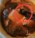 중국 이번엔 ‘박쥐 마라탕’?…“미역인 줄 알았는데 충격, 책임져라”