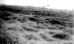 옛 서울은 “무덤의 도시”…마포·이태원 부촌, 공동묘지 위에 지어졌다 [서울지리지]