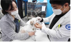 동물병원 입구에 ‘이것’ 없으면 신고하세요… 경기도, 5일부터 특단 조치