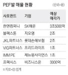 올해 사모펀드發 M&A 큰 장 열리나