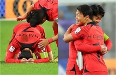 한국은 호주의 ‘호구’, 호들갑 떨더니…대역전패 굴욕에 ‘졌잘싸’ 위로