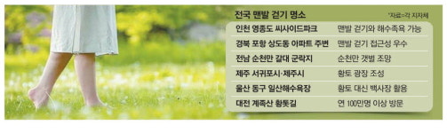 땅 밟으며 힐링 … 지자체 앞다퉈 맨발길