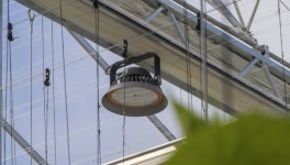 LED조명의 마술...비닐온실서 오이 수확량 30%↑