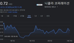 핀플루언서도 책임 못지는 ‘동전주’ 니콜라, 상폐 위기만 세번째