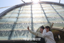 [포토] 새봄 맞이 아쿠아 아트 육교‘워터스크린’가동