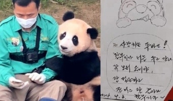 “사랑하는 푸바오, 할부지가 너를 두고 간다”…강철원, 손편지 ‘뭉클’