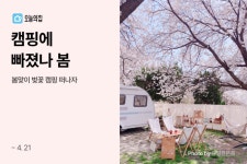 “벚꽃 캠핑 떠나자!” 오늘의집, 봄맞이 나들이를 위한 캠핑&피크닉용품 특가전 ‘캠핑에 빠졌나 봄’ 진행