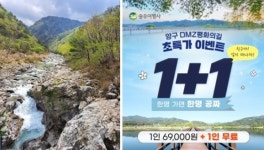 민통선 양구 두타연&펀치볼 트레킹, 한 명은 무료로 보내주는 여행사