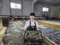 배우 꿈 완도청년, K전복으로 세계 진출