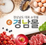 e경남몰, 시·도 온라인 쇼핑몰 중 전국 첫 대상 선정