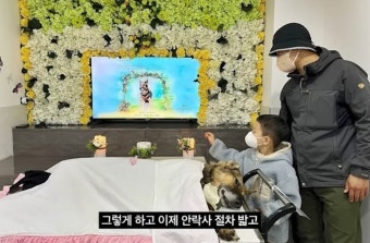 “반려견 레오, 사무실서 안락사”…강형욱 해명에 수의사들 반발? 이유는