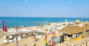 한적한 어촌서 핫플로…양양 서피비치의 변신