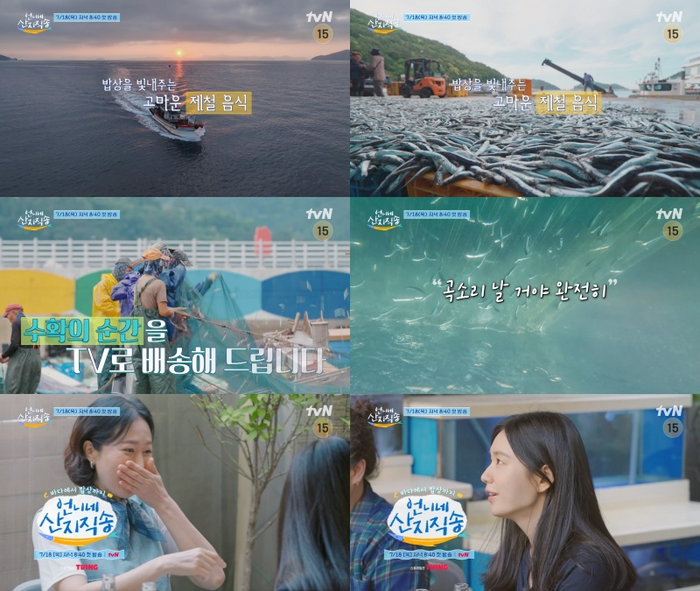 언니네 산지직송, 영덕에서의 사 남매의 즐거운 일상 공개!