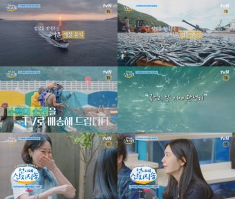 언니네 산지직송, 영덕에서의 사 남매의 즐거운 일상 공개!