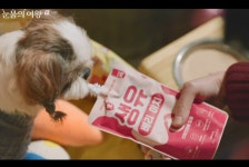 “눈물의 여왕에 나온 강아지 간식 주세요”…‘이 나라’서 불티나게 팔린 이유