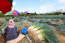 12월부터 ‘농촌체류형 쉼터’ 도입…10평까지 허용