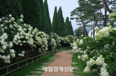 배우는 뭐하면서 쉴까…배우 최다니엘 따라 강화 여행가보니 [타인의 여행]