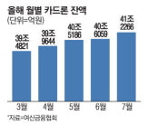 가계대출 풍선효과 막아라 금감원, 카드론 관리 강화
