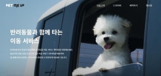 어서 타시‘개’…애완동물 승차거부 걱정 그만, 펫택시 달린다