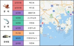 [MK 10월 2주 바다낚시] 우리가 횟집에서 감성돔을 보기가 쉽지 않은 이유