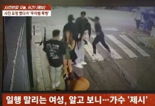 제시, 팬 폭행 사건 사과…“가해자 처음 본 사람”