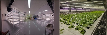 ㈜그로와이즈, 과천 지식산업센터 내 대형 스마트팜 구축 성공