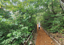 [Dear My Walking] 전북 정읍 내장산 국립공원 온몸으로 맞는 가을의 느낌적인 느낌…