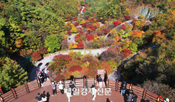 [포토] 단풍으로 물들어 가는 보발재