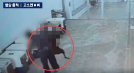 “강아지에 전기충격 목걸이 채우고 폭행”…양주 애견유치원 대표 수사