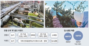 “제주 귤밭에서 바로 딴 맛이네”…요즘 장보기가 즐거워진 주부들, 왜