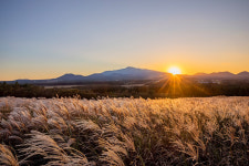 “4계절 다 보고 가세요” 오름 자랑에 진심인 제주 호텔