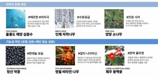 독도 심층수·인제 자작나무… 천연물 화장품으로 ‘K뷰티’ 선도