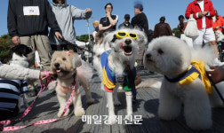 “우리 댕댕이는 귀하니까”...피부병 보장에 무료 검진까지, VIP 펫보험 나왔다