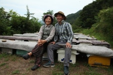 양봉업도 스마트 기술로 디지털 혁신 … 민통선 양봉업자 부부 [똑똑한 장사]