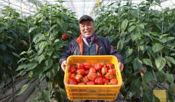 파프리카·오이농장에 히트펌프 지원 … 농사 지을 맛 납니다