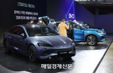 못에 뚫려도 튼튼하다는 中 BYD 배터리…韓 전문가들 “전기차용으론 못 써”