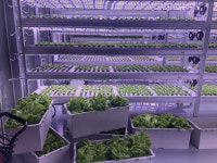 이수화학, 도심형 스마트팜 첫 수확물 출하… 도시 농업의 지속 가능성 입증