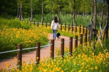 한국관광공사가 꼽은 2025 트렌드 S.P.E.C.T.R.U.M.