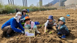 용산·남양주 등 ‘동행서울 친환경농장’ 4500여 구획 분양