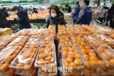 [포토] 껑충 뛴 감귤 가격