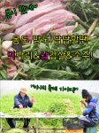 “탄핵과 황사로 받은 스트레스 이거 먹고 풀자”…초록초록한 미나리와 삼겹살 그리고 소주 한잔까지 [푸디人]