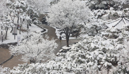 [포토] 하얗게 변한 남산골한옥마을