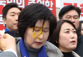 尹측 석동현 “백혜련 ‘날계란 테러’는 자작극이거나 유도극”