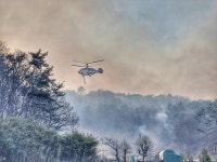 [속보] 울주 산불로 5개 마을 주민 791명 추가 대피령
