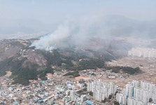 [속보] 울주 언양 산불 1단계 발령…송대리·울산양육원 등 대피령