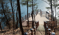 [Dear My Walking] 충주호 종댕이길 - 자연 품은 길, 서너 시간의 호사