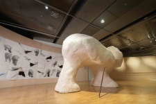 ‘우리의 몸에는 타인이 깃든다’…장애·비장애 경계 허무는 ACC 전시