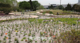 “용산공원을 센트럴파크로”...용산국가공원포럼 발족