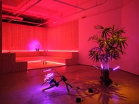 허무하게 돌아가는 중고기계…노력없이 욕망 채우려는 인간을 비추다